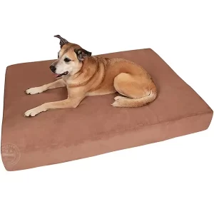 7" Large dog bed