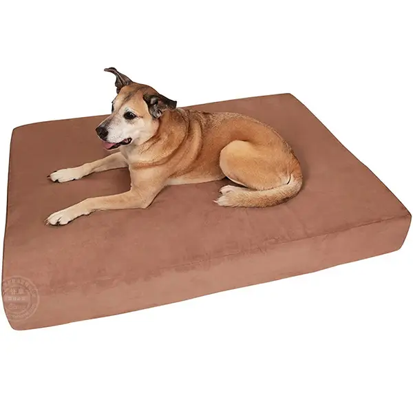 7" Large dog bed