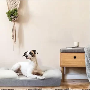 memory foam dog bed image