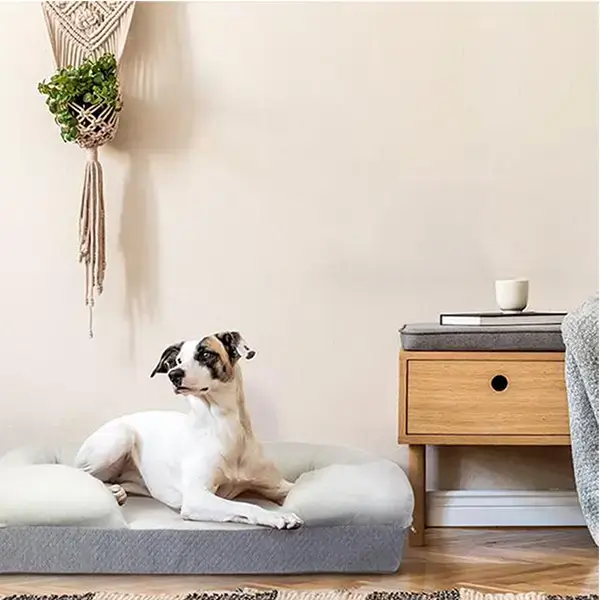 memory foam dog bed image