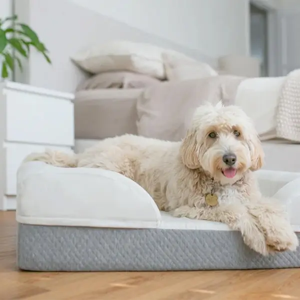 image of memory foam dog sofa bed