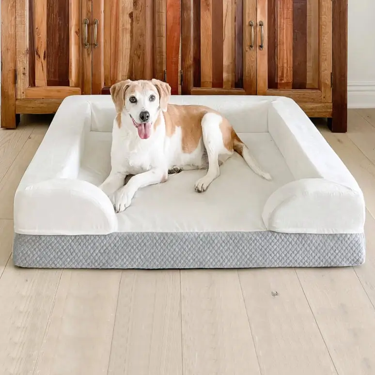 image of memory foam dog bed