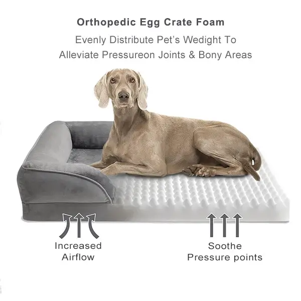 image of egg crate foam dog bed